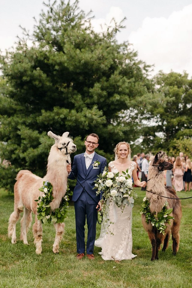 Fruitig Farms Wedding by Lustre Events