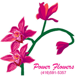 Power Flowers