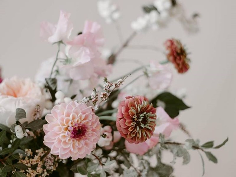 Blush and Bloom profile photo