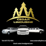 Cedar Valley Limousine profile photo
