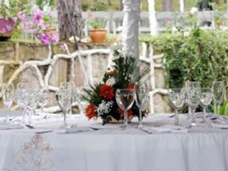 Mindless Sophistication Events profile photo