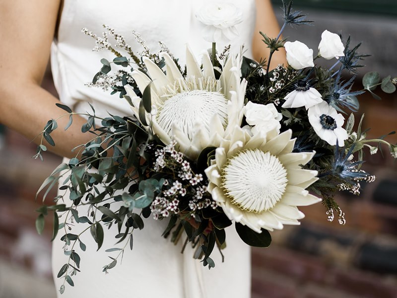 Rosehill Blooms profile photo