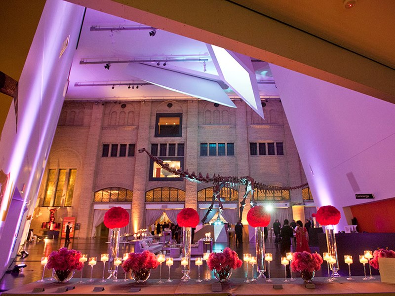 The Royal Ontario Museum profile photo