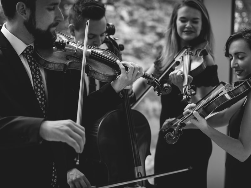Toronto String Quartet profile photo