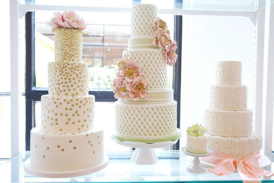 View More: http://johannanichola.pass.us/lesley_kleinfeld-visit