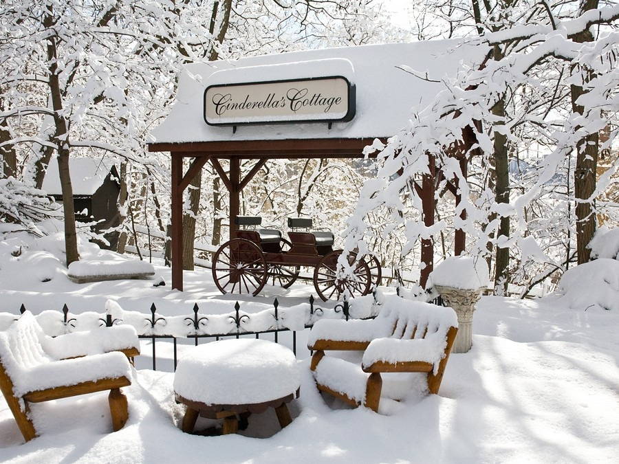 Toronto/GTA Venues For Your Winter Wedding!