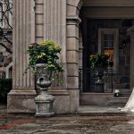 Thumbnail for Cheyne & Greg Intimate Wedding At Graydon Hall