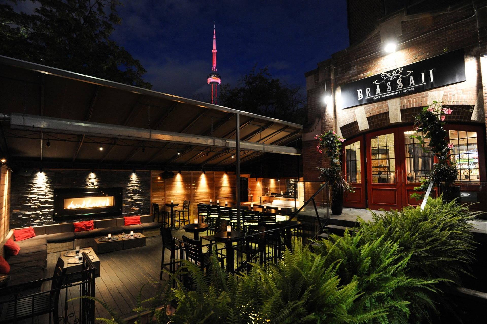 Image result for brassaii toronto