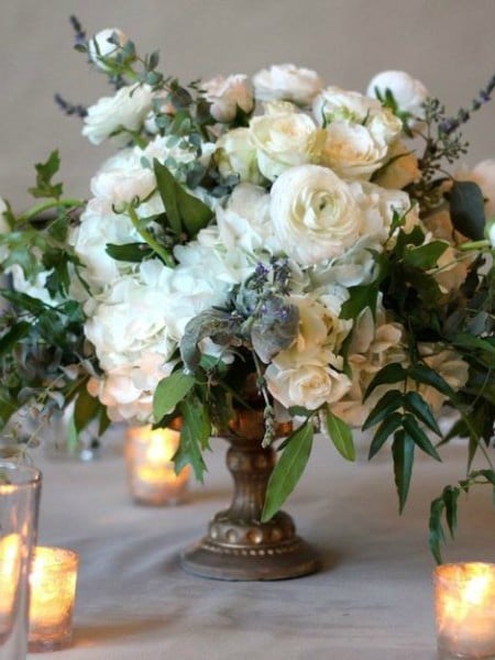 WilBe Bloomin, Toronto