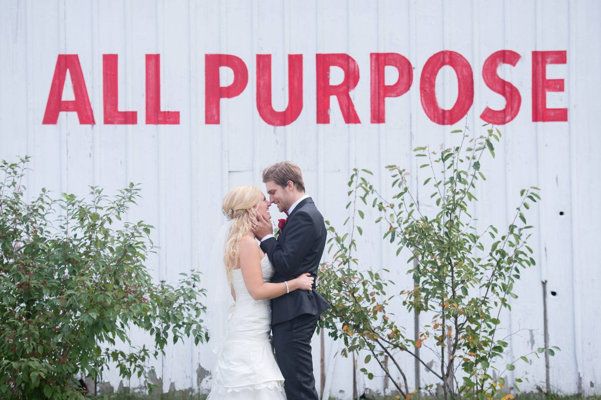 Hero image for Top Toronto Wedding Officiants Share Their Best Advice For a Long and Happy Marriage