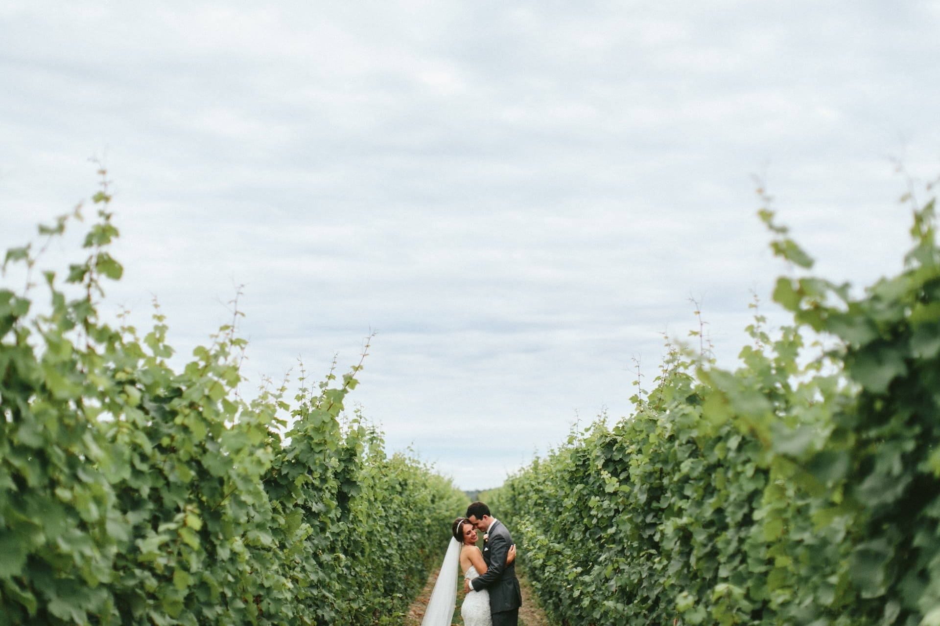 Hero image for Maranda and Chad’s Stunning Rustic Wedding at Honsberger Estate