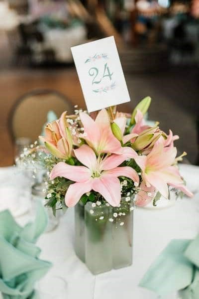 Janse Greenhouses, Toronto