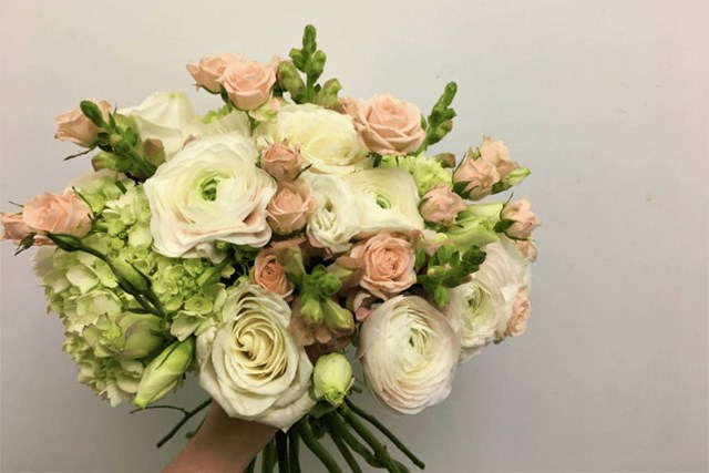 WilBe Bloomin, Toronto