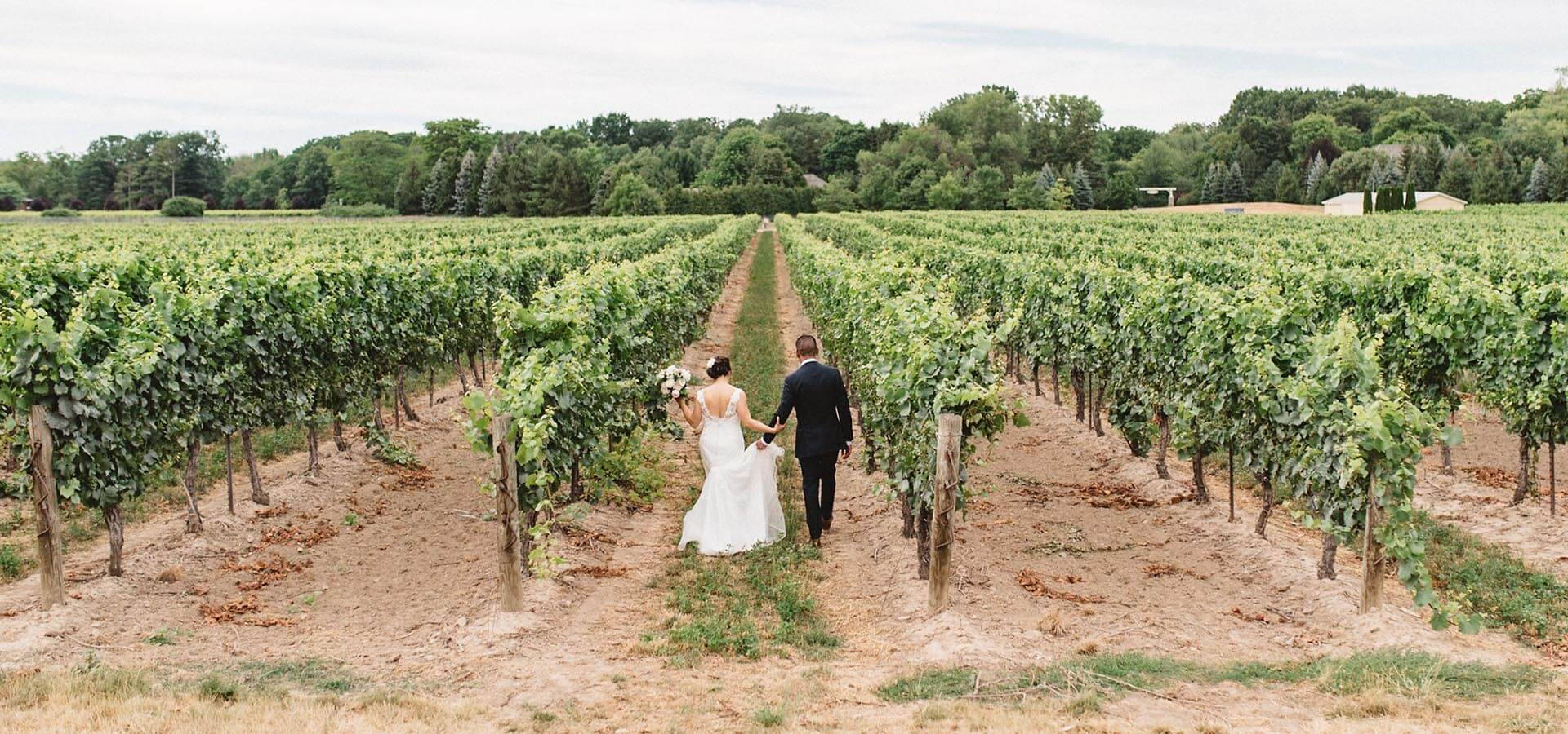 Hero image for Jovy and Randy’s Intimate Vineyard Wedding at Kurtz Orchards