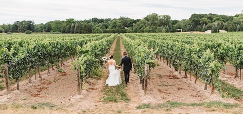 Jovy and Randy’s Intimate Vineyard Wedding at Kurtz Orchards