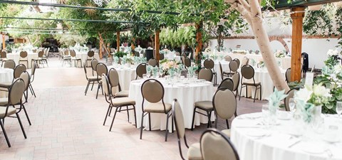 Jodie and Olu's Whimsical Wedding at Madison Greenhouse