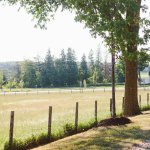 Thumbnail for Ali and Cory’s Rustically Chic Wedding at Cambium Farms