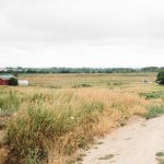 Thumbnail for Caitlin & Josh’s Dreamy Barn Wedding at Earth To Table Farm