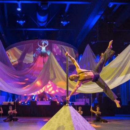 A2D2~ Aerial Dance Cirque Co. featured in 15 Entertainment Ideas Guaranteed To ‘Wow’ Your Guests