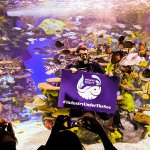 Thumbnail for Industry Night at Ripley’s Aquarium of Canada