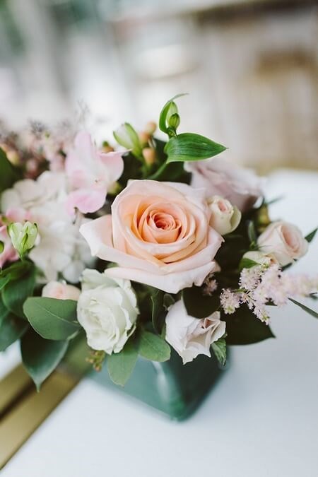 Toronto Florist Shop, Toronto