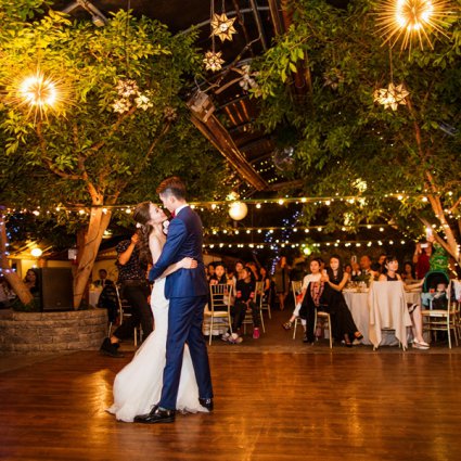 Dynamic Music Solutions featured in Candy and Tony’s Magical Wedding at The Madison Greenhouse