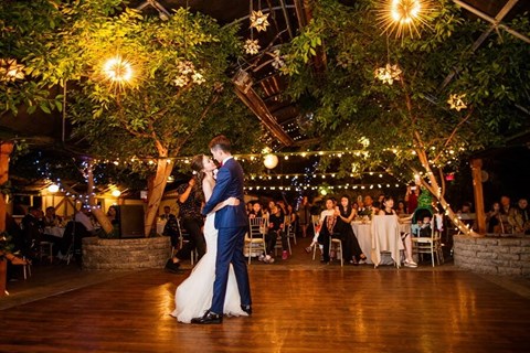 Candy and Tony's Magical Wedding at The Madison Greenhouse