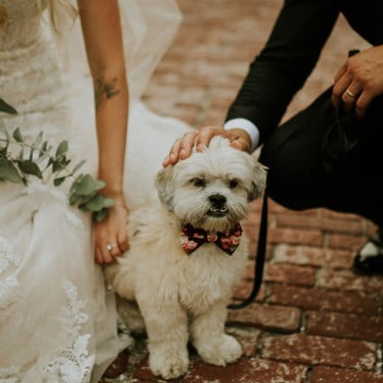 Thumbnail for Cute Ways to Incorporate Your Furry Friends into Your Big Day