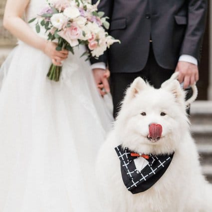 Norris Films featured in Christina and Tao’s Sweet Shangri-La Wedding