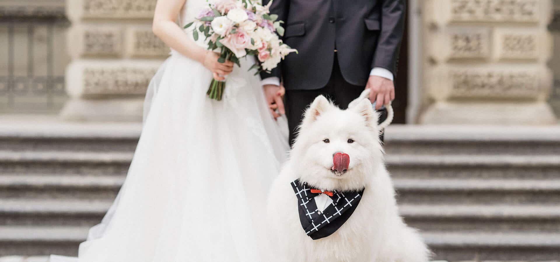 Hero image for Christina and Tao’s Sweet Shangri-La Wedding