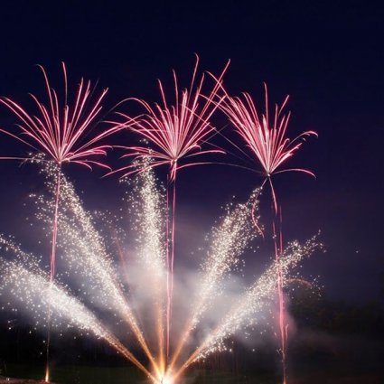 Blue Star Pyrotechnics and Fireworks featured in 22 Awesome Entertainment Ideas to Take Your Event to the Next…
