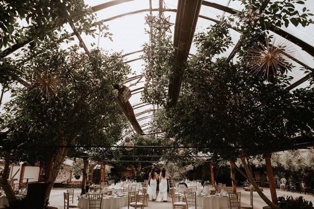 Room to Bloom, Toronto