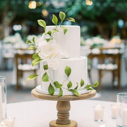 Joni and Cake featured in Sonia and Chris Say “I Do” at the Organic Madison Greenhouse