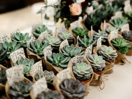 20 Fun Wedding Favours Your Guests Will Actually Use