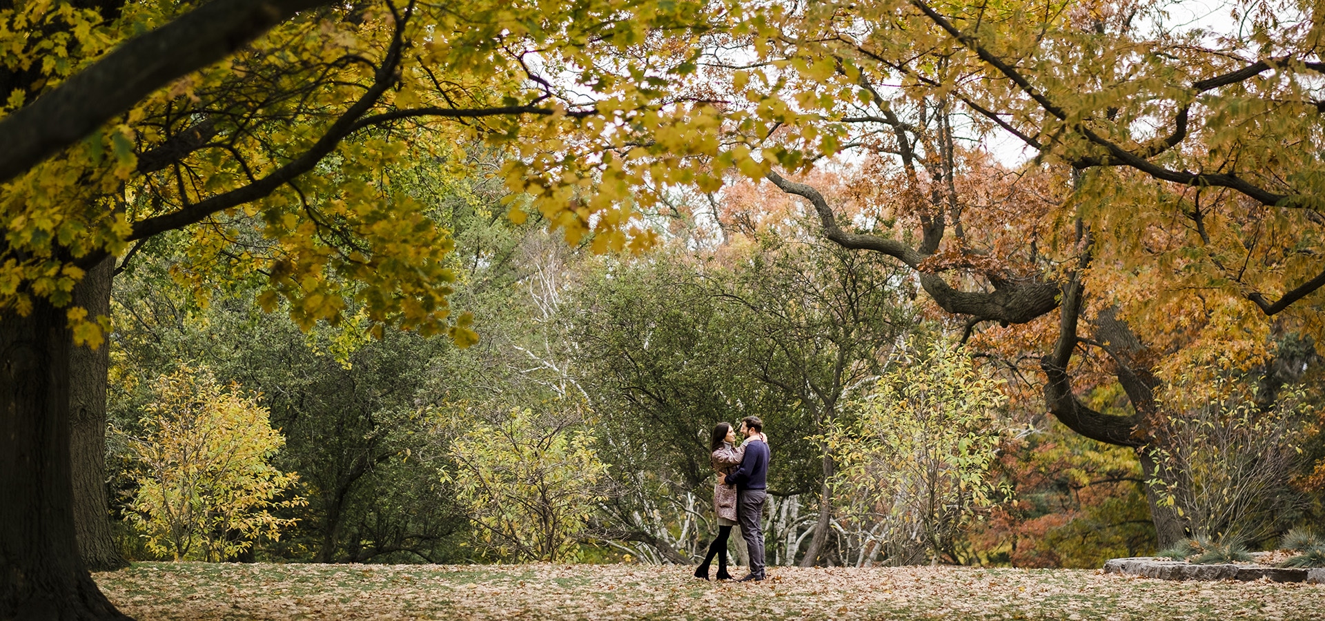 Hero image for Toronto Wedding Photographers Share Their Best Fall Photos from this Season