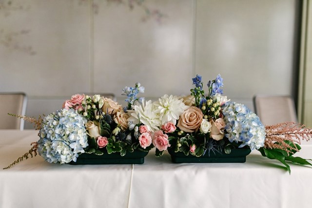 Petite Studio, Toronto