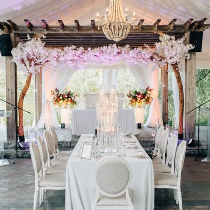 Princess Decor featured in Ashley and Cliten’s Outdoor Wedding at the Arlington Estate