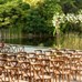 8 Eco-Friendly Wedding Venues in the GTA