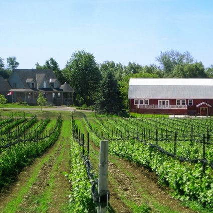Hillier Creek Estates Winery featured in Lovely Venues in Prince Edward County