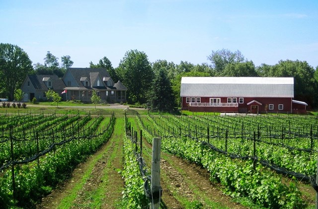 Hillier Creek Estates Winery, Prince Edward County