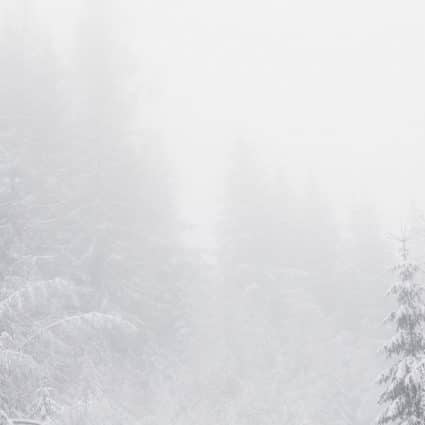Thumbnail for Tina and Kevin’s Intimate Winter Wedding at the Estates of Su…