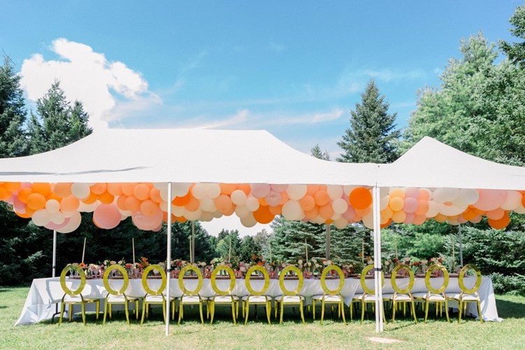 Carousel images of Sunshine Party and Tent Rentals