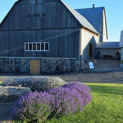 The Lavender Farm featured in The Ultimate List of Wedding Barn Venues in (or reasonably cl…