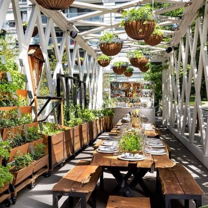 1 Hotel Toronto featured in Toronto’s Top Patios for Private and Corporate Events