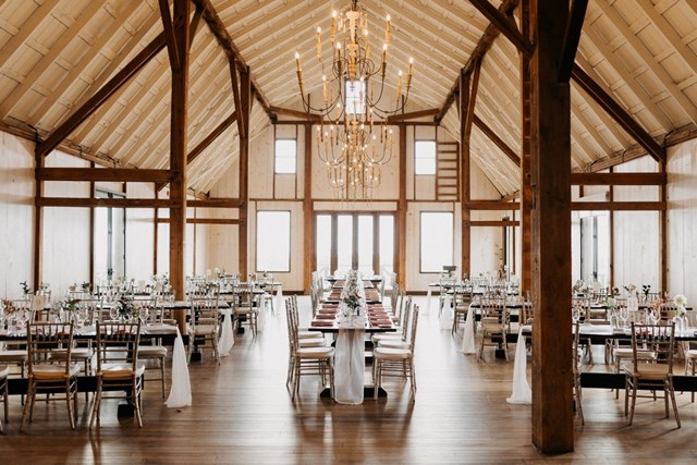 Petal To The Metal, Hamilton