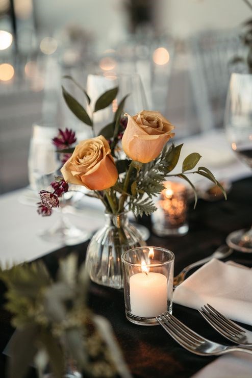 Bloom Scout, Burlington