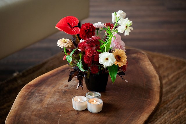 Snowberry Botanicals, Toronto