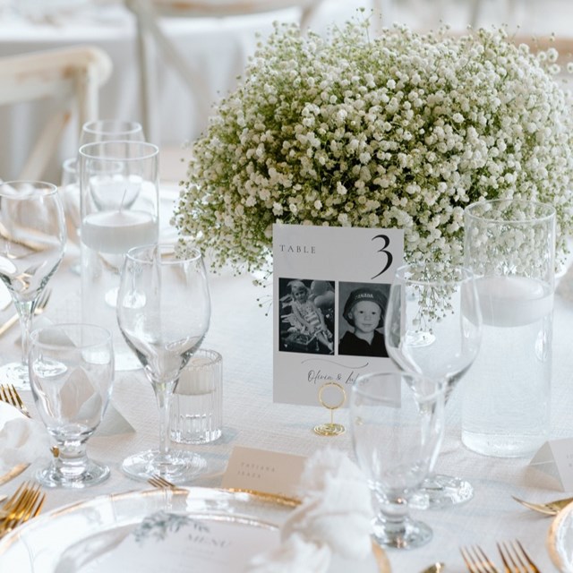 A Rustic Baby's Breath Wedding at Alpine Ski Club