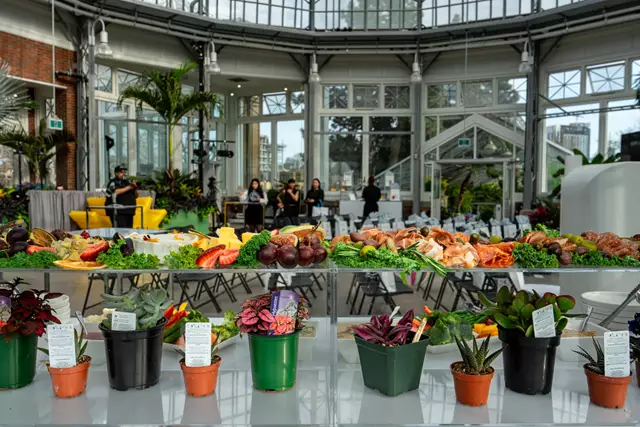 Special Event Venues: Allan Gardens 4
