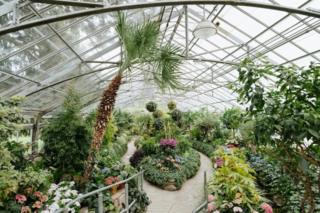 Allan Gardens, Toronto
